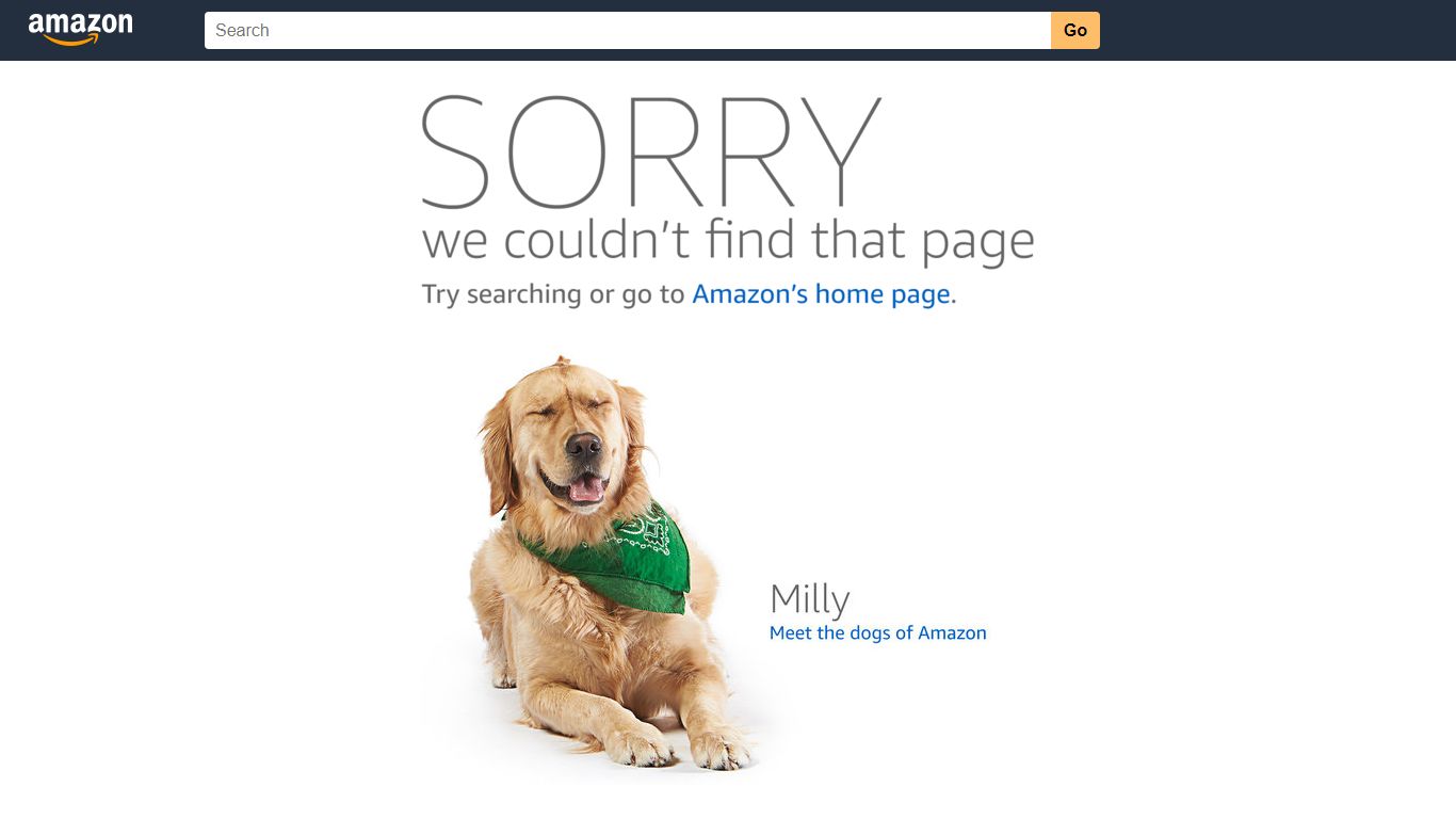 Shipping to Prisons - Amazon Customer Service